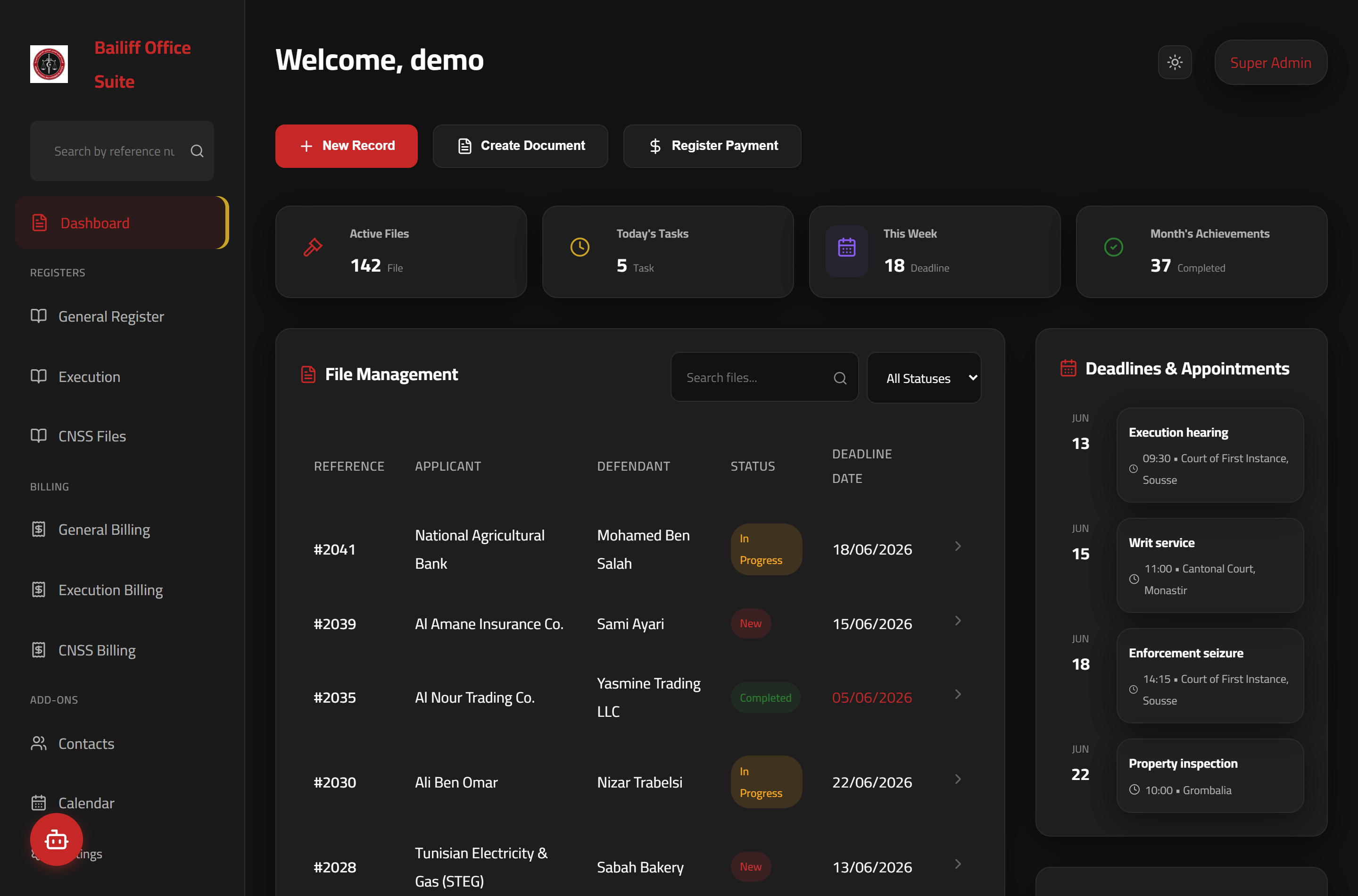 Bailiff Office Intelligence — dashboard (demo data)
